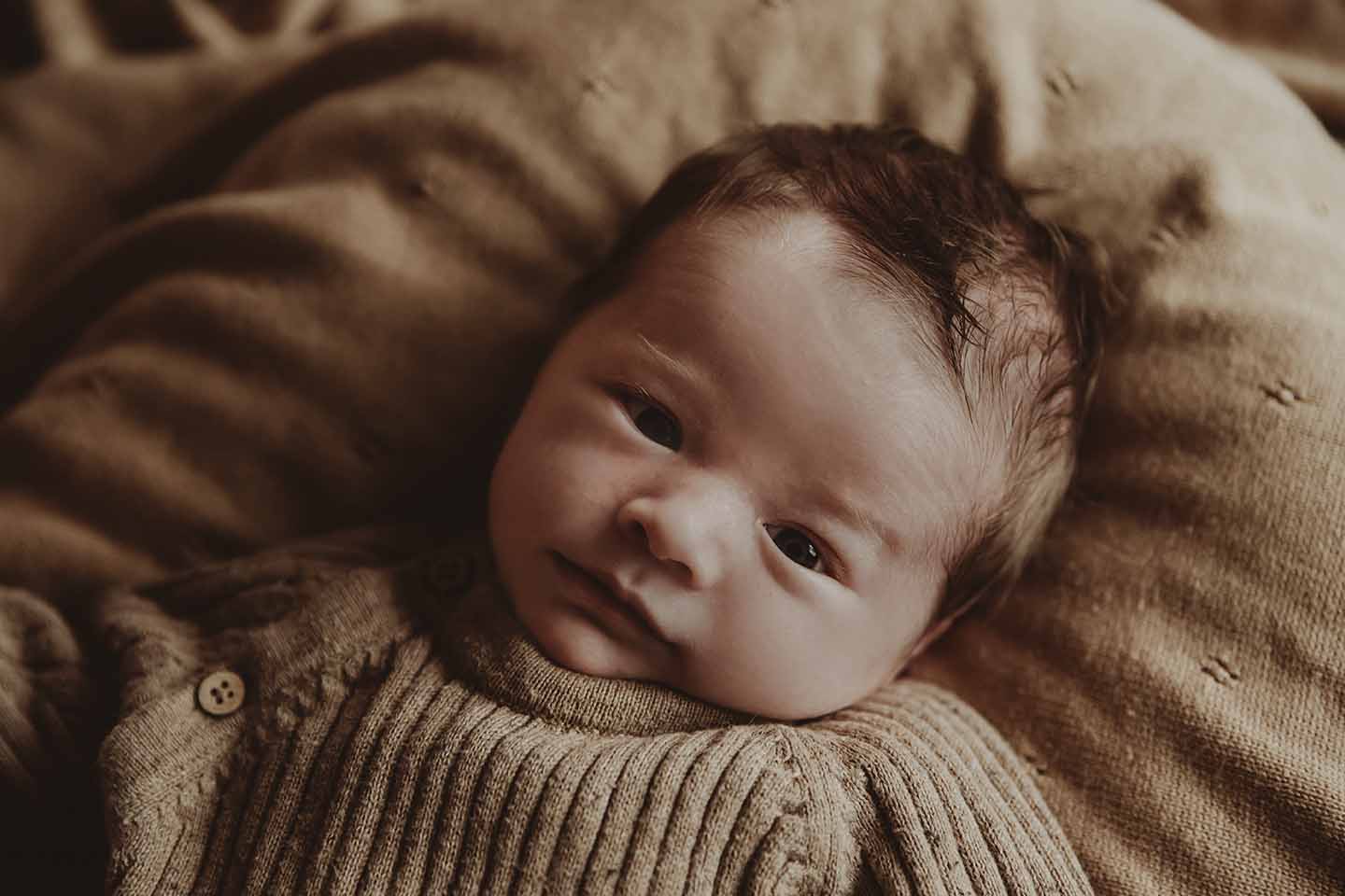 newborn fotograaf zeeland newbornshoot zeeland