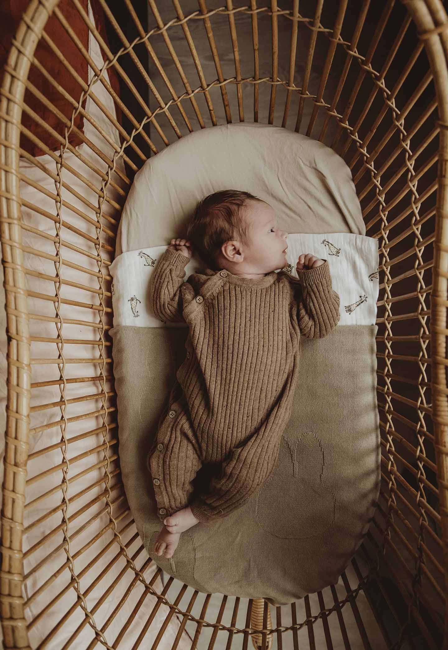 newborn fotograaf zeeland newbornshoot zeeland